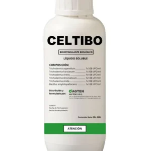Celtibo