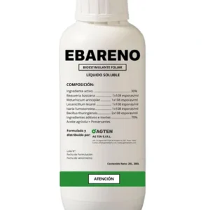 Ebareno