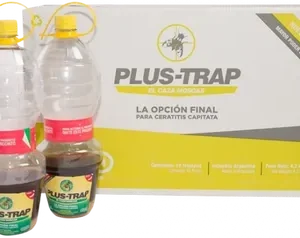 Plus Trap