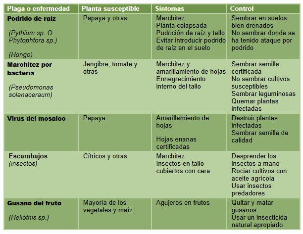 Tipos de plagas que afectan los frutos, plantas susceptibles a ser dañadas, sus síntomas en las plantas y cómo controlarlas.
