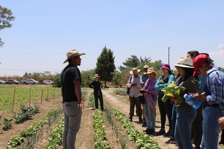 Señor brindando charlas a agricultores en campo sobre cómo prevenir plagas agrícolas