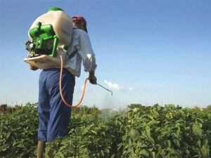 Señor en un campo agrícola roceando pesticidas para prevenir plagas agrícolas